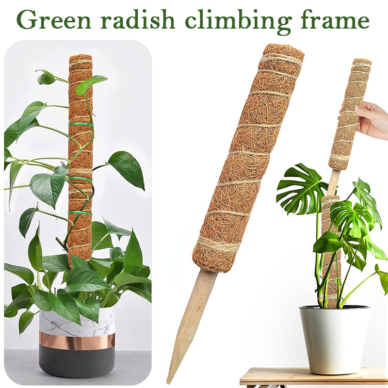 30/40/50cm Plant Climbing Coir - đánh giá và giá Sphagnum Moss Dry